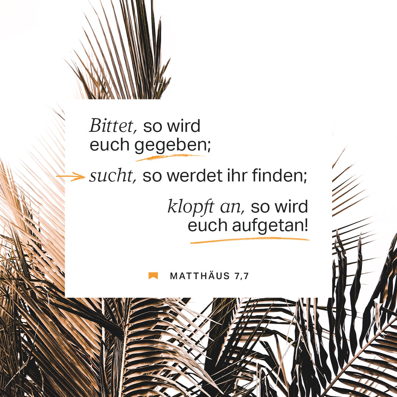 Matthäus 7712 Bittet, so wird euch gegeben; suchet, so werdet ihr
