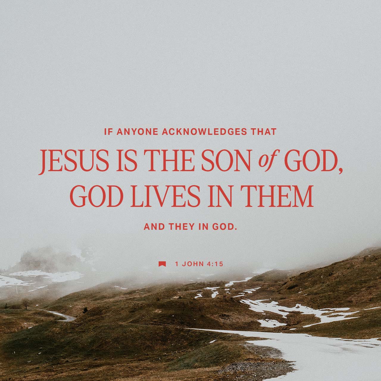 I John 4:15 Whoever confesses that Jesus is the Son of God, God abides in him, and he in God. | New King James Version (NKJV) | Download The Bible App Now
