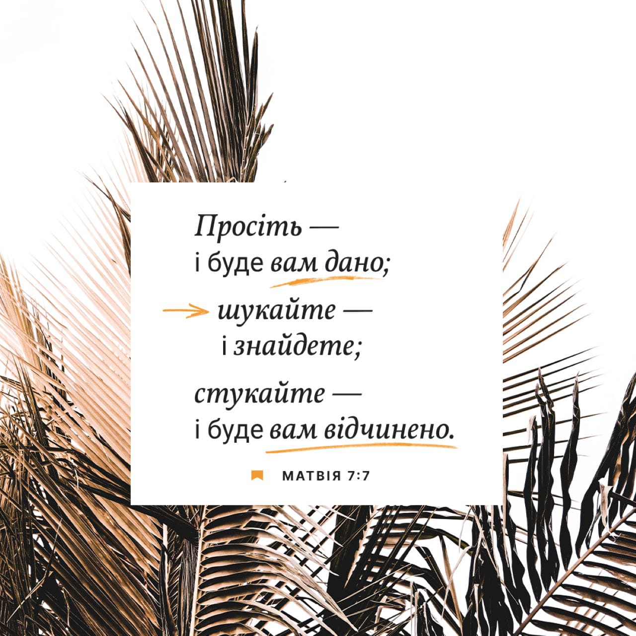 от иоанна 8 7