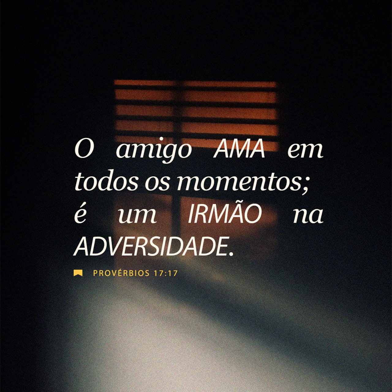 Provérbios 17:17 O amigo ama em todo tempo, e na angústia nasce o irmão ...