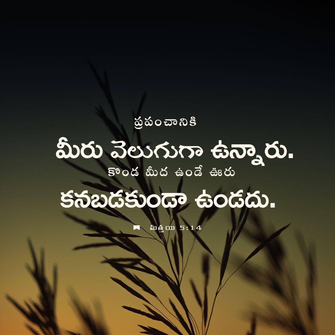 Bir kechalik munosabatlardan keyin ayolning umidlari Bir kechalik munosabatlardan keyin ayolning umidlari