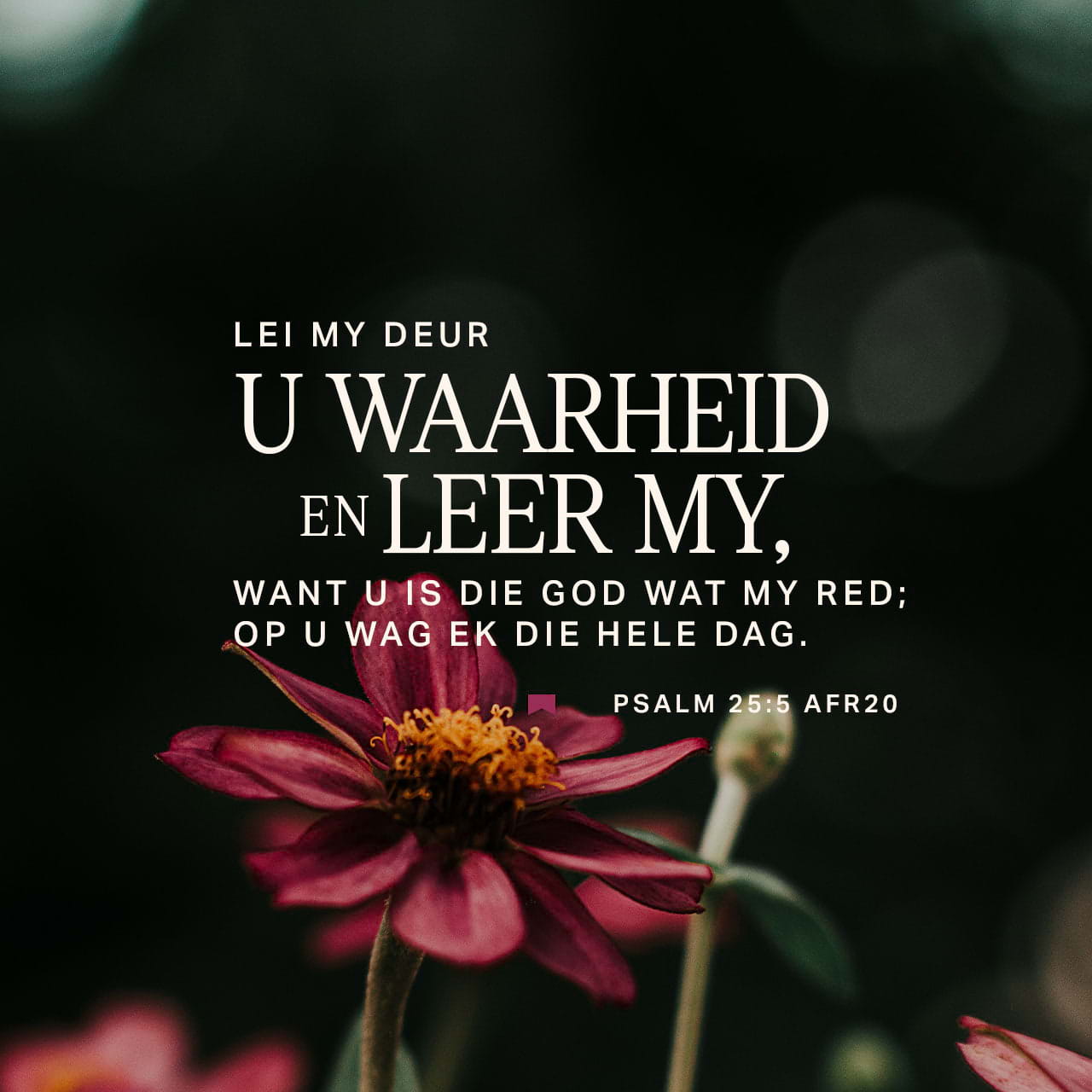 PSALMS 25:4-5 Dalet. HERE, maak my u weë bekend; leer my u paaie. He ...