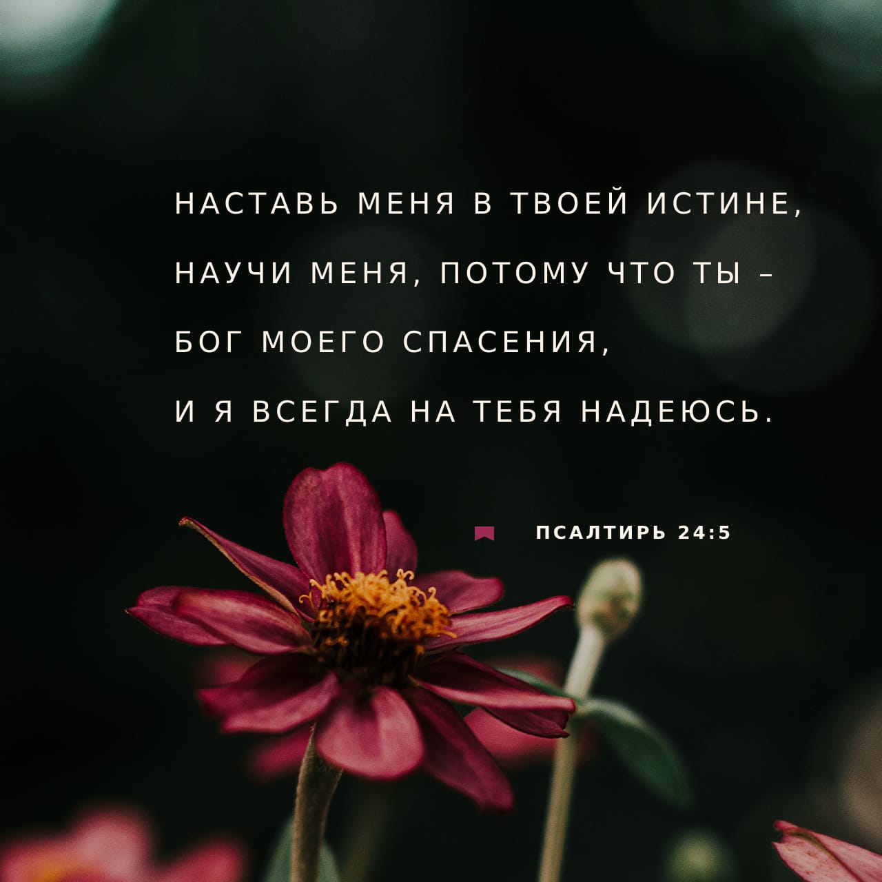 Псалтирь 25:4-5 (SYNO) - не сидел я с людьми лживыми, и с ко