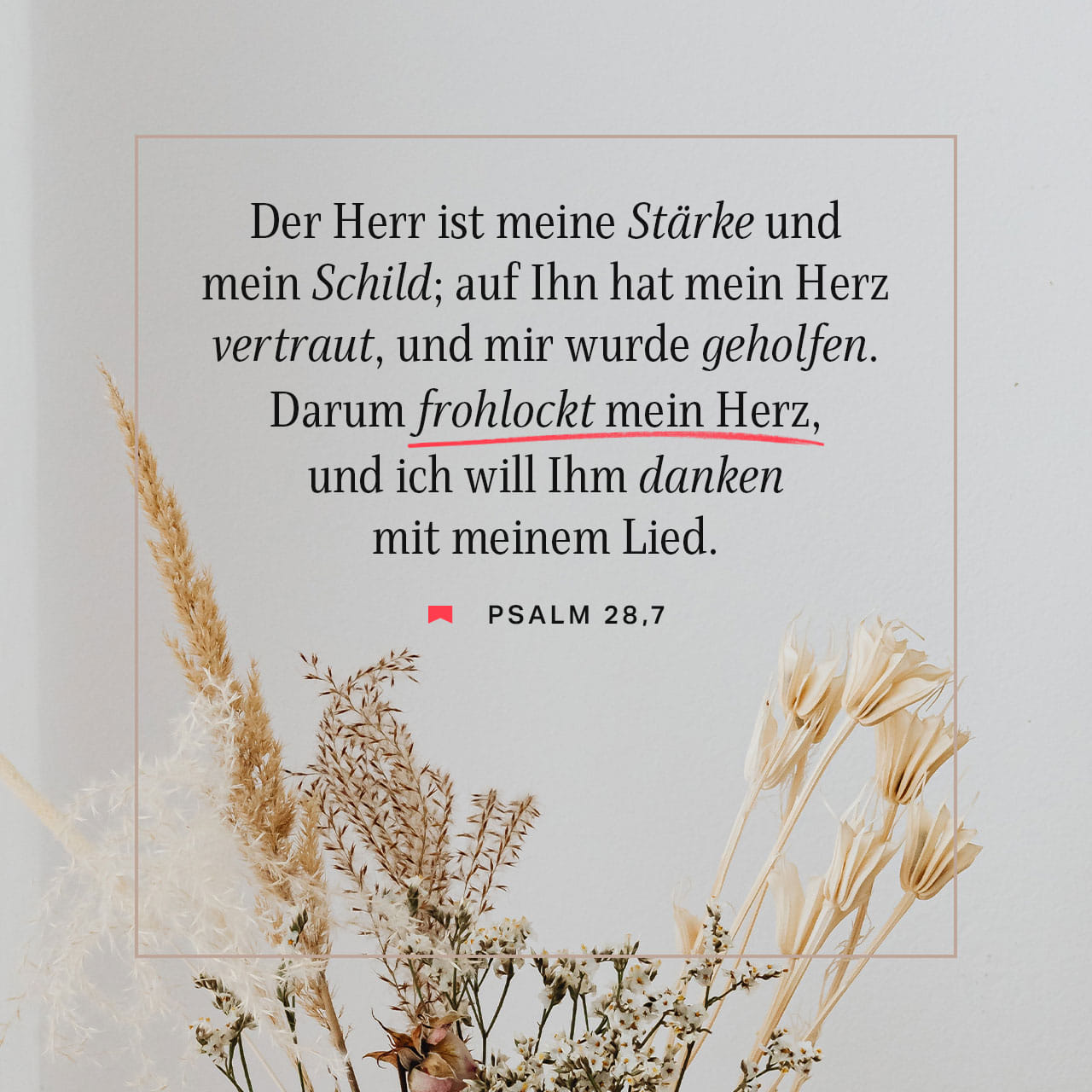 Psalm 28:7 Der HERR ist meine Stärke und mein Schild; auf ihn hofft mein  Herz, und mir ist geholfen. Und mein Herz ist fröhlich, und ich will ihm  danken mit meinem Lied. |