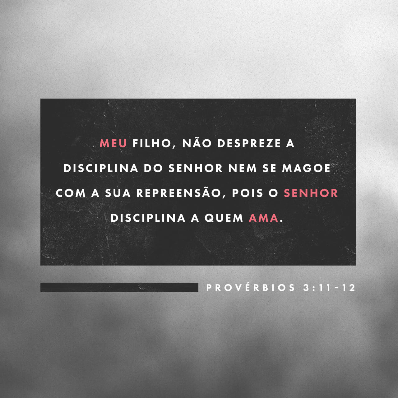 Versículo Bíblico do dia - dia 258 - imagem 963 (Provérbios 3:11)