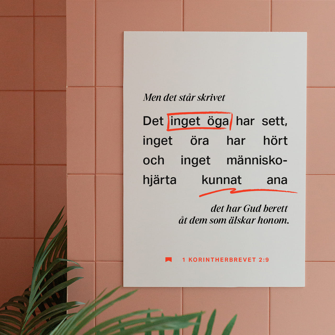 Yalangoch yigit qiz suratini sikish Olatni jinsiy olatni ichiga qanday kiritish haqida video