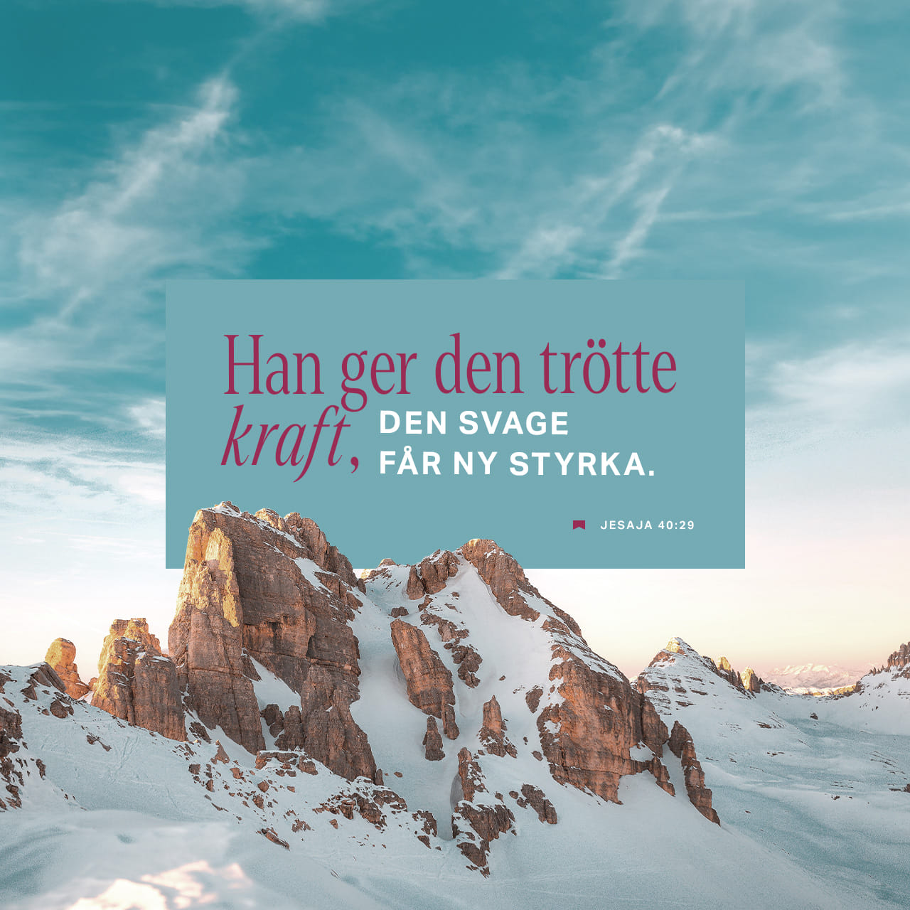 Biseksual osmirlar onlayn Chechen ayoli quloqlari va jinsiy olatini kesib tashladi.