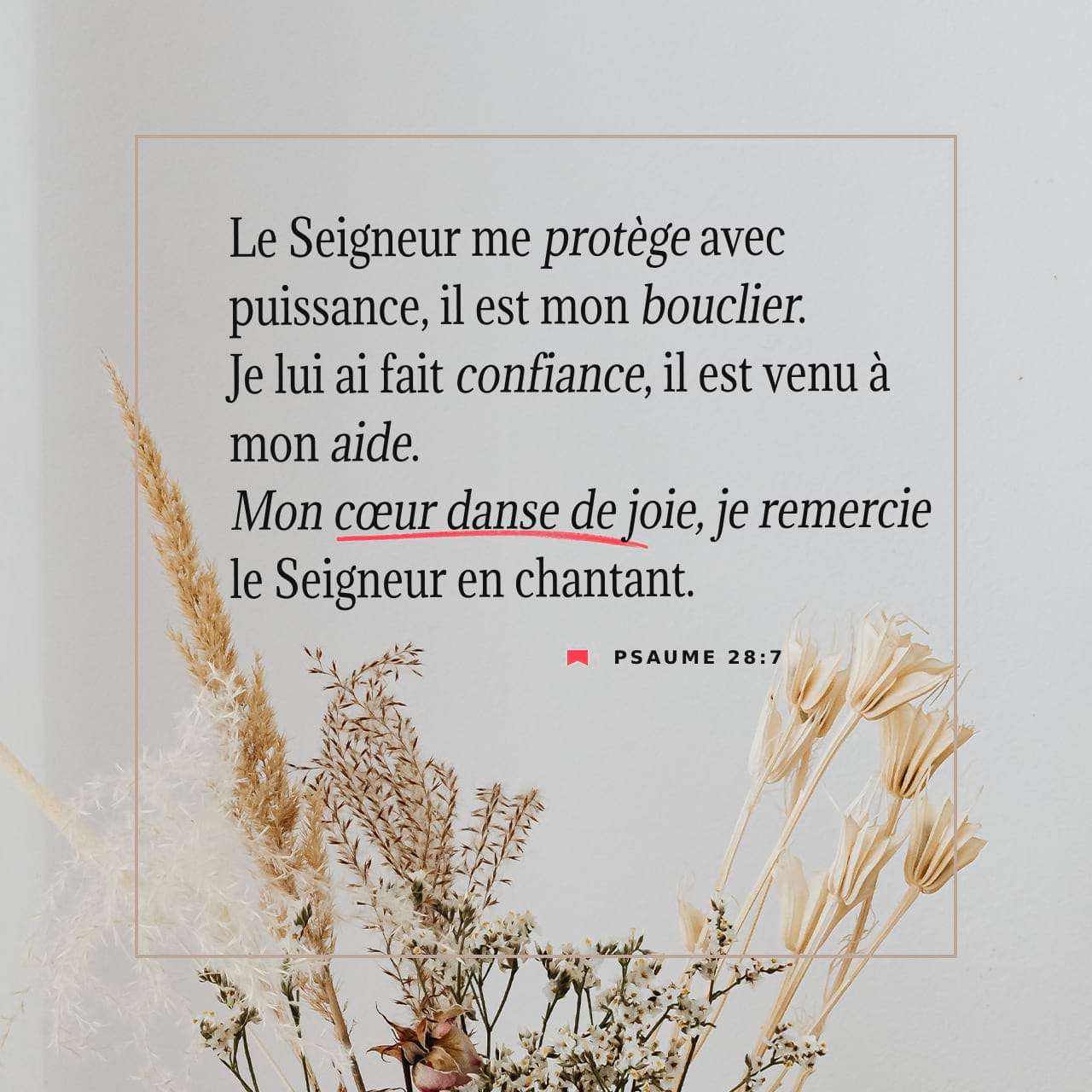 Amazon.co.jp: 1001 photographies qu'il faut avoir vues dans