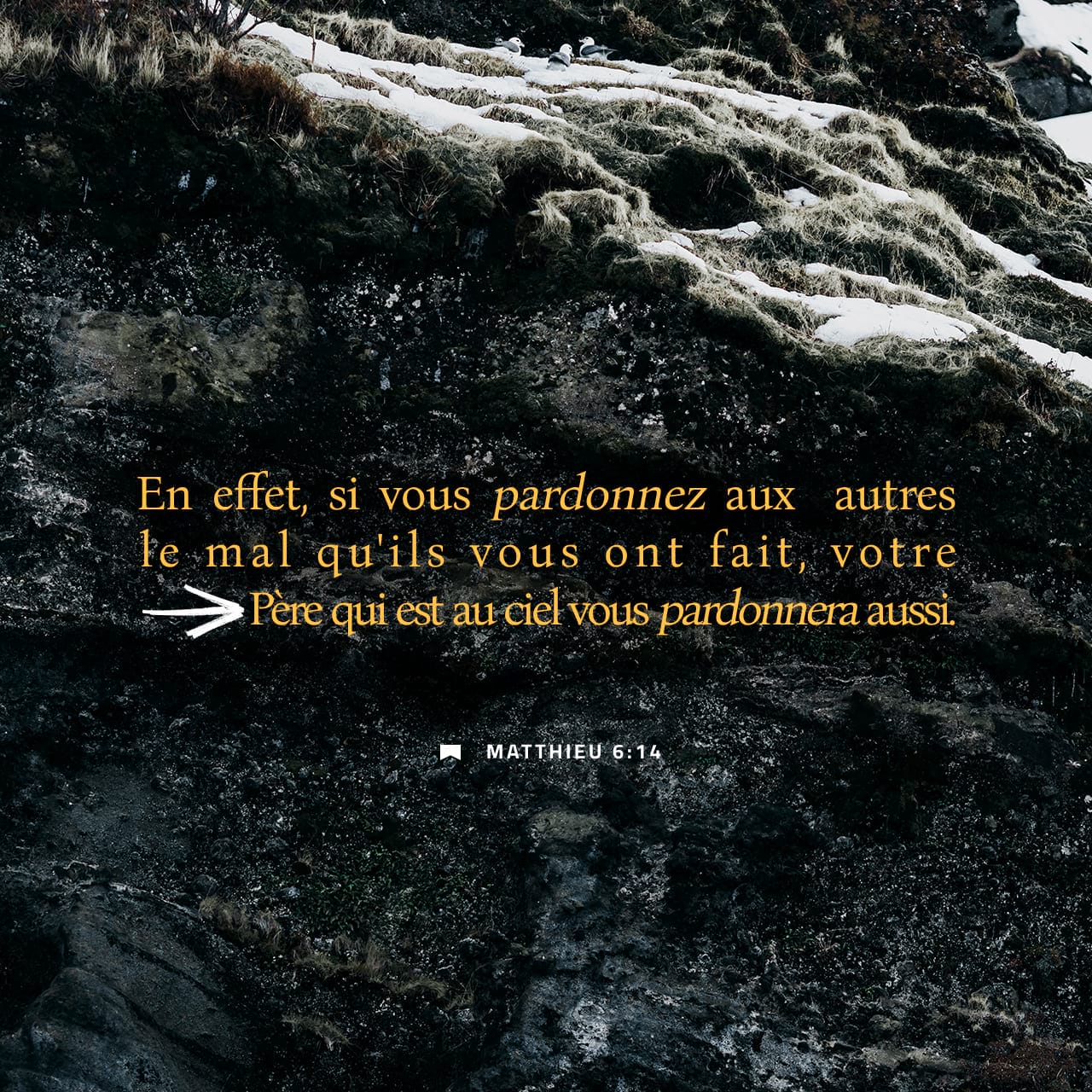 Matthieu 6:14 Si vous pardonnez aux hommes leurs offenses, votre Père  céleste vous pardonnera aussi | La Sainte Bible par Louis Segond 1910 (LSG)  | Download The Bible App Now