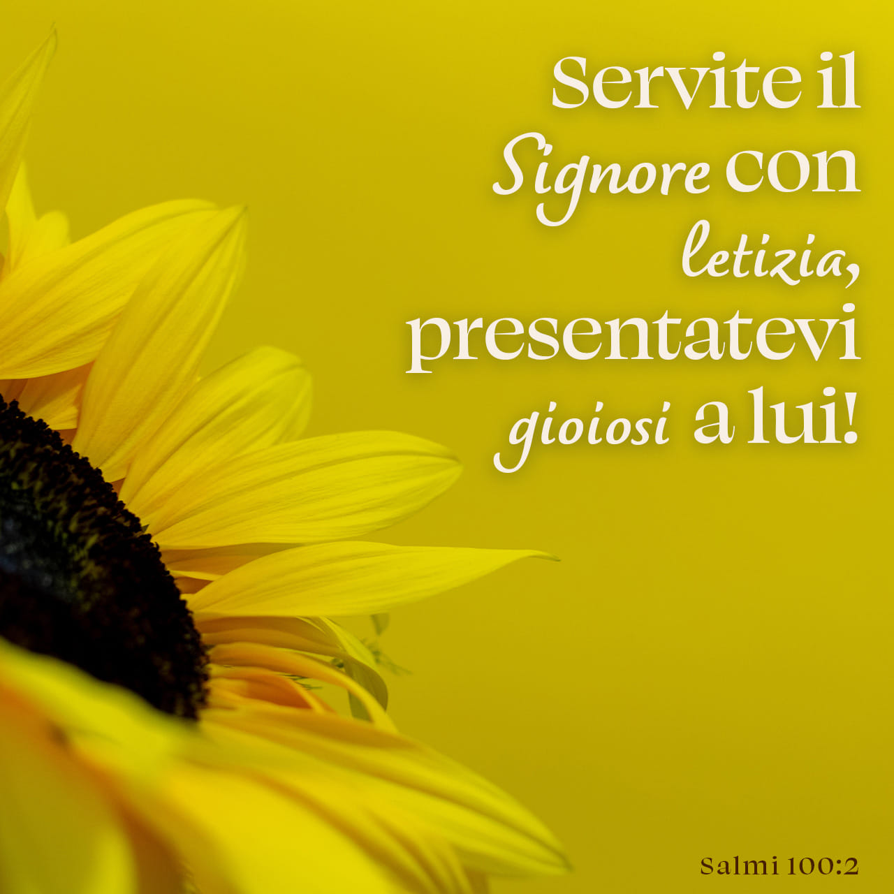 SALMI 100:2 Servite l'Eterno con gioia, venite al suo cospetto con canti!, Versione Diodati Riveduta (RDV24)