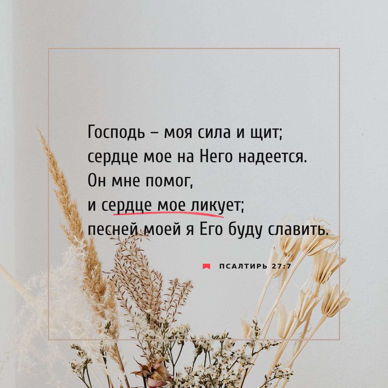 Dom 2-ден порно видеолар