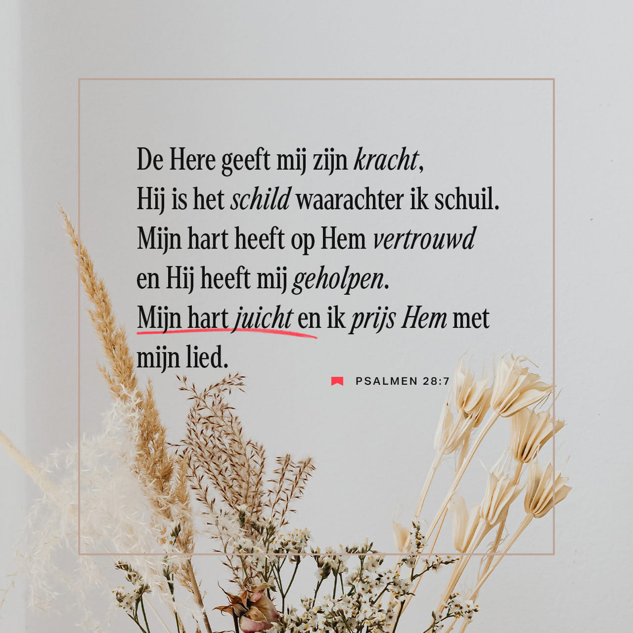 De Psalmen 28:7 (STV) - De HEERE is mijn Sterkte en mijn Sc | YouVersion
