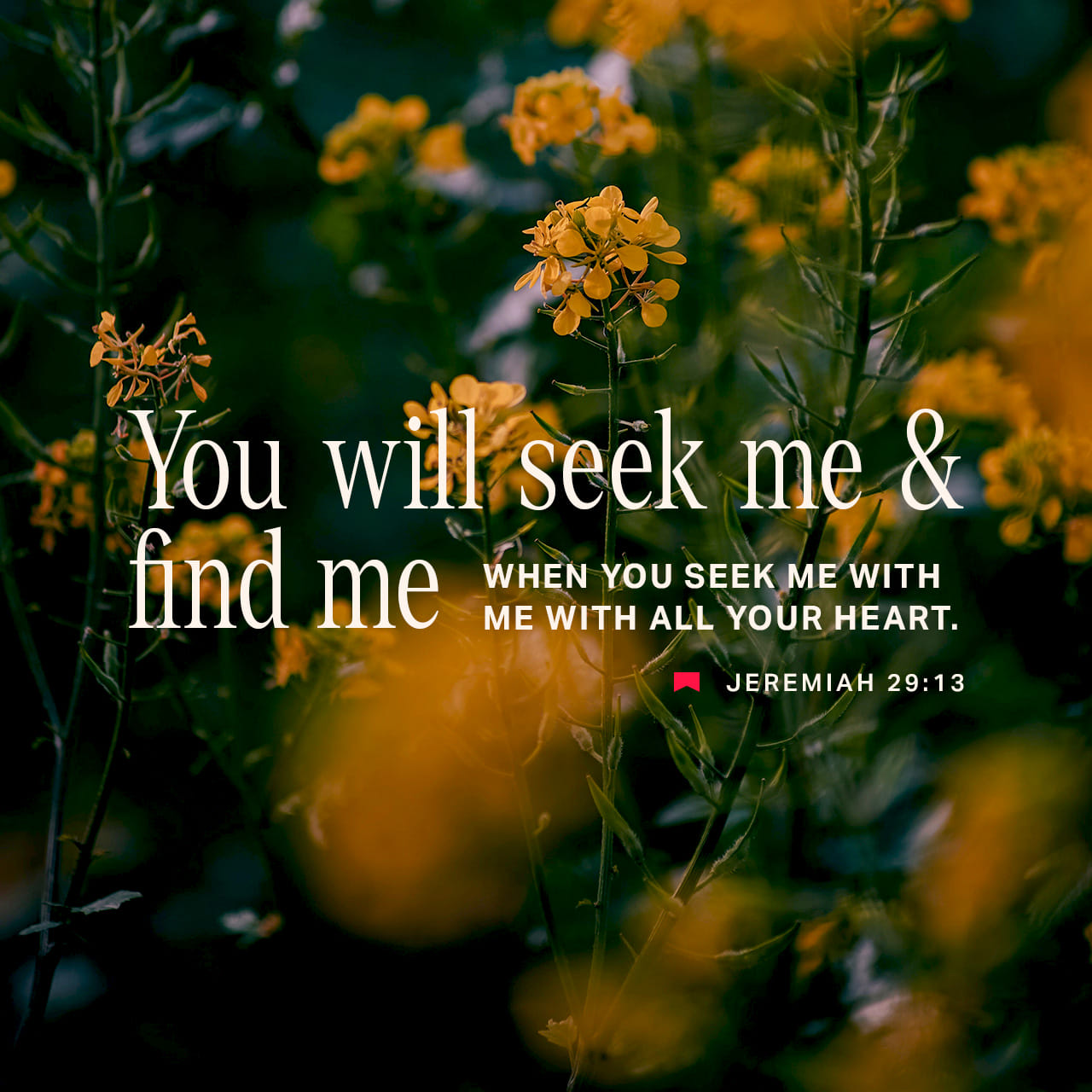 Jeremiah 29:13-18 If you look for me wholeheartedly, you will find me ...