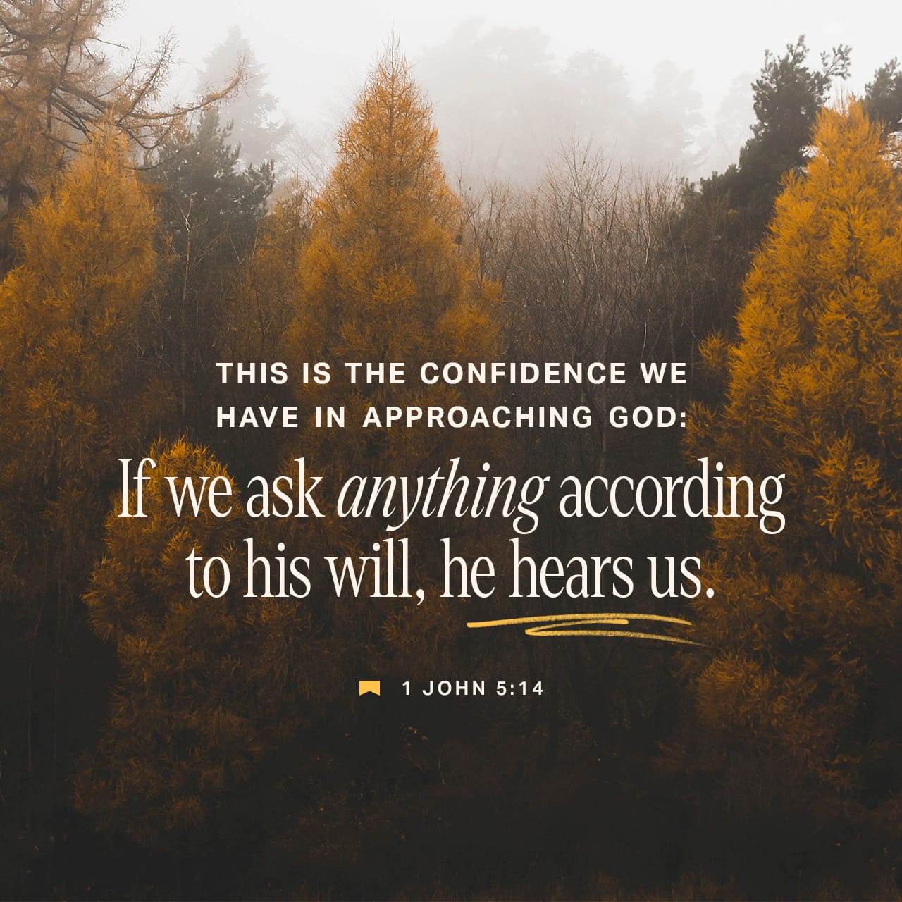I John 5:14-15 Now this is the confidence that we have in Him