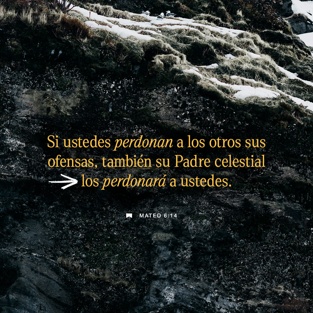 Mateo 6:12, 14-15 y perdónanos nuestros pecados, así como hemos ...