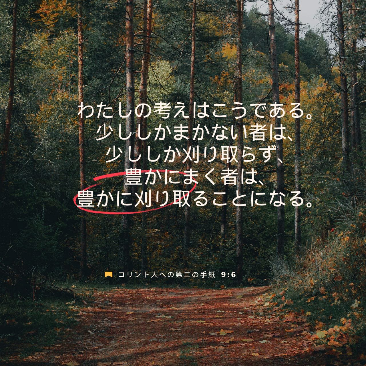 コリント人への第二の手紙 9:6-8 わたしの考えはこうである コリント人への第二の手紙 9:6-8 わたしの考えはこうである
