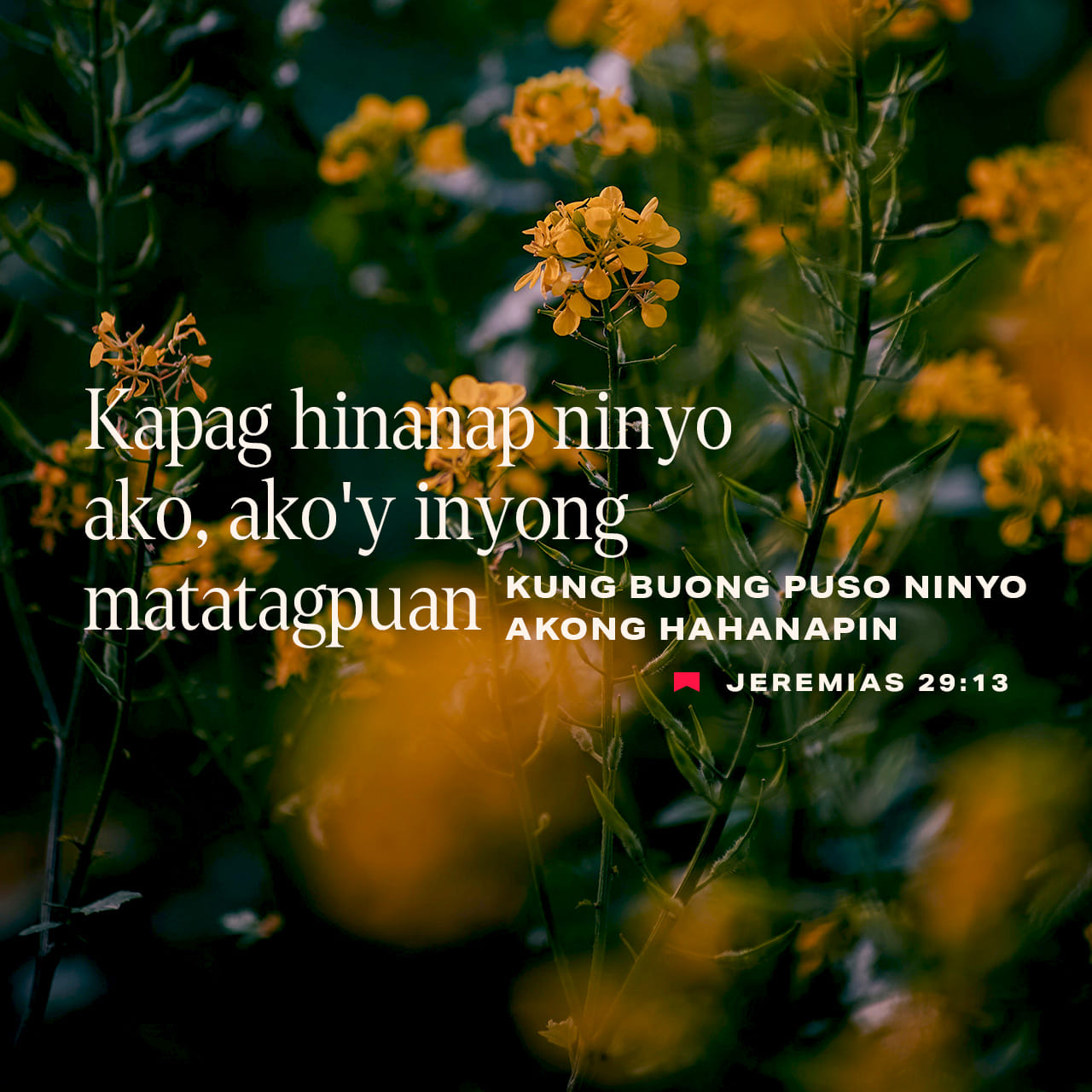 Jeremias 29:11, 13 Sapagka't nalalaman ko ang mga pagiisip na aking ...