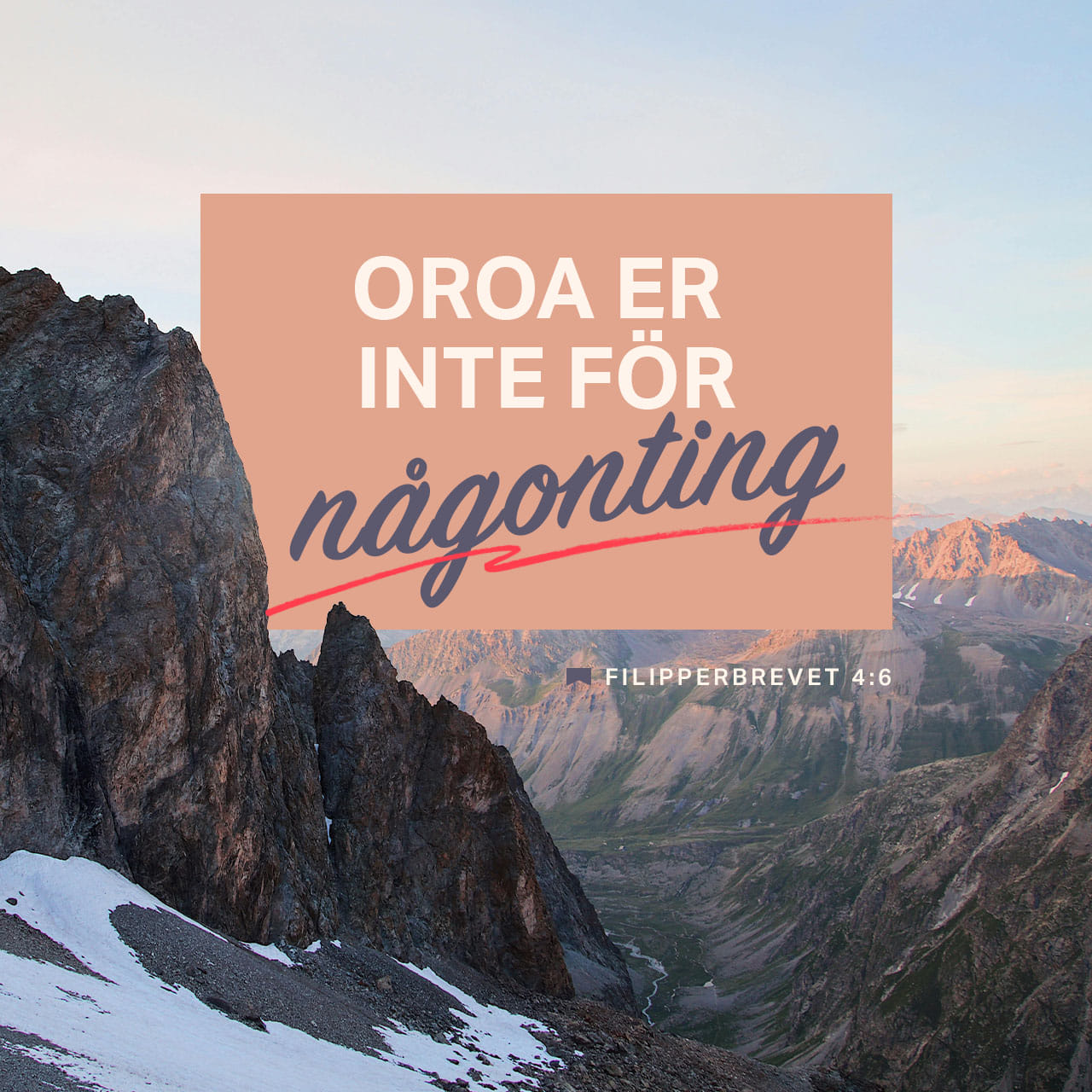 Bir odam tovuqni sikayotganini tomosha qiling