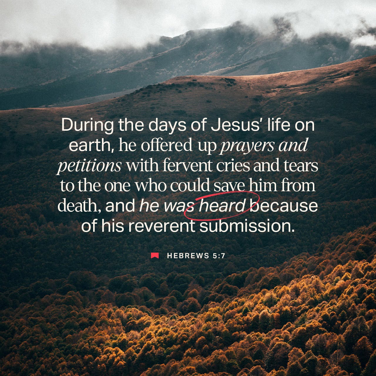 Hebrews 5 6 8 As He Also Says In Another Place You Are A Priest 