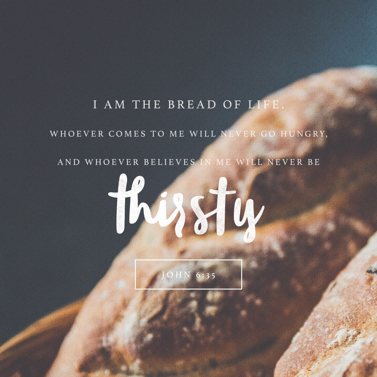 John 6 Verse 35 Meaning John 6 Verse 35 Meaning