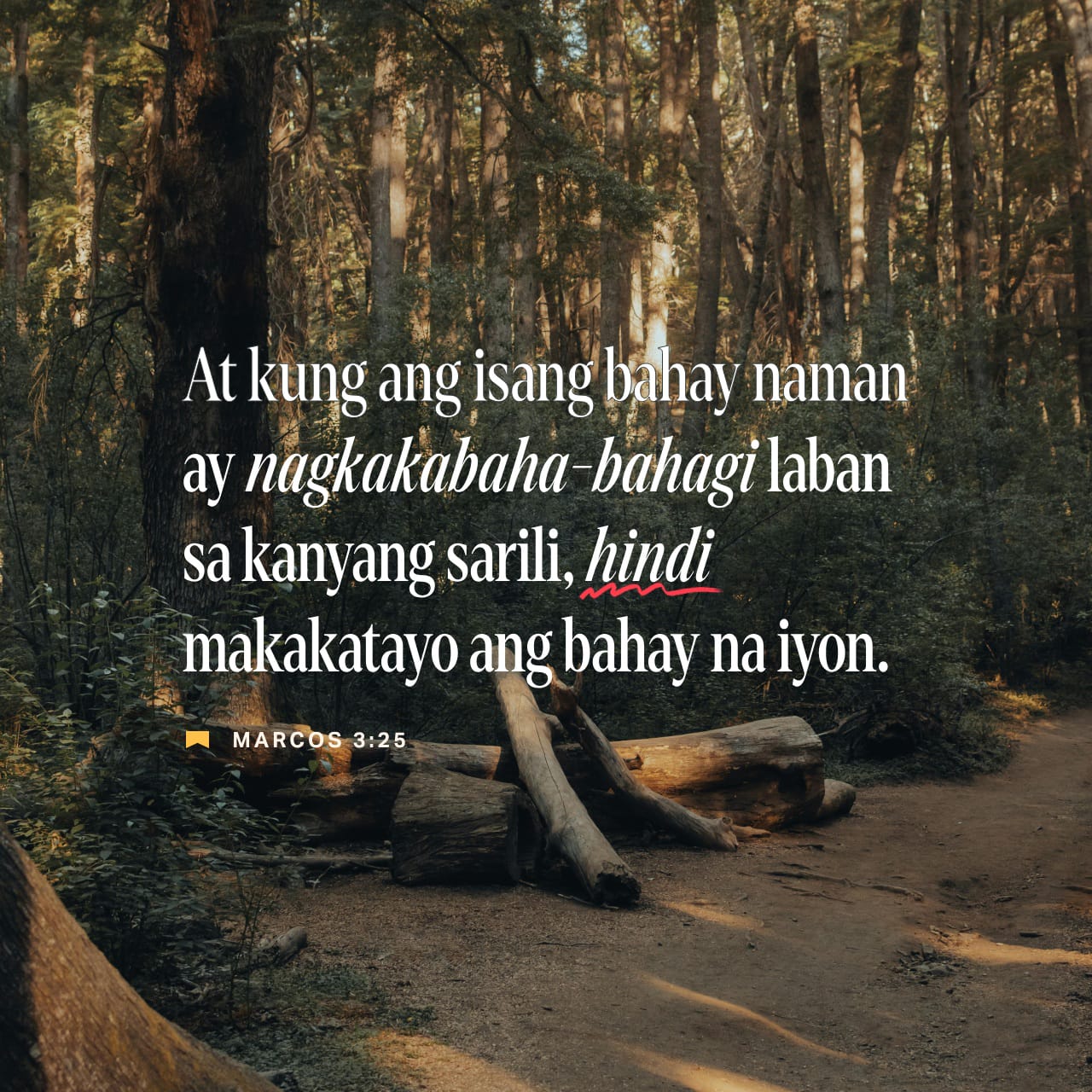 Eng shahvoniy, shahvoniy, yuzga otirish va femdomlik sahnalari 2011 yilning eng mashhur porno aktrisasi