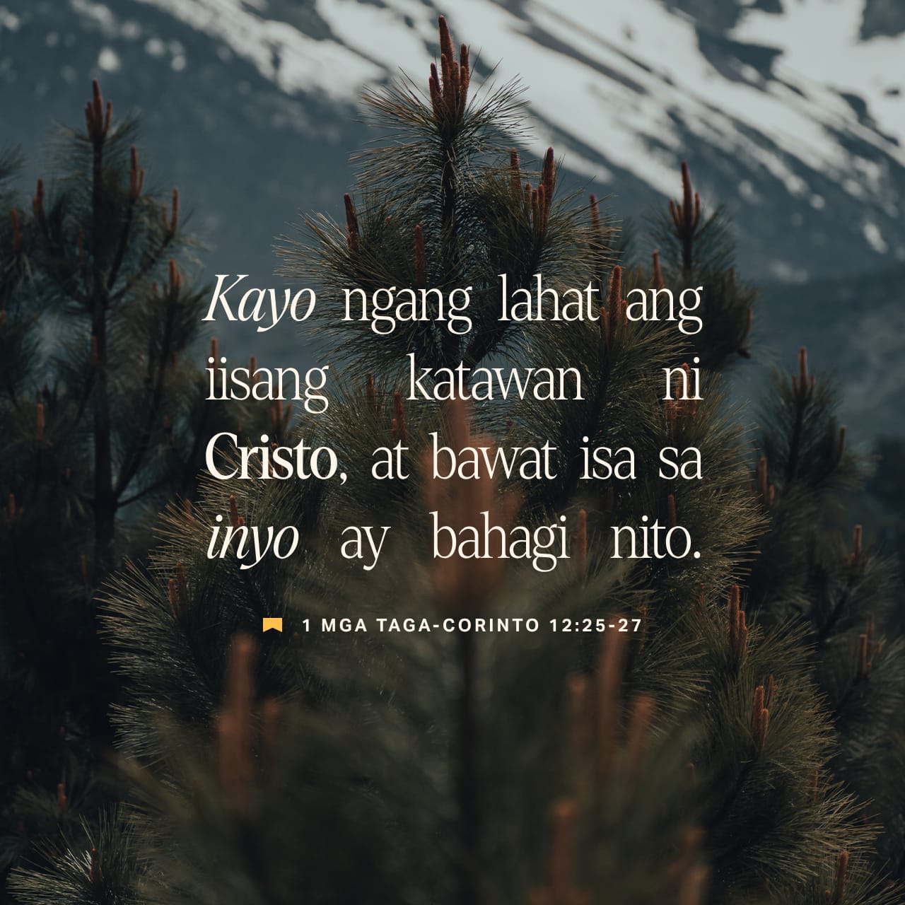 1 Mga Taga-Corinto 12:26 Kung nasasaktan ang isang bahagi, nasasaktan ...