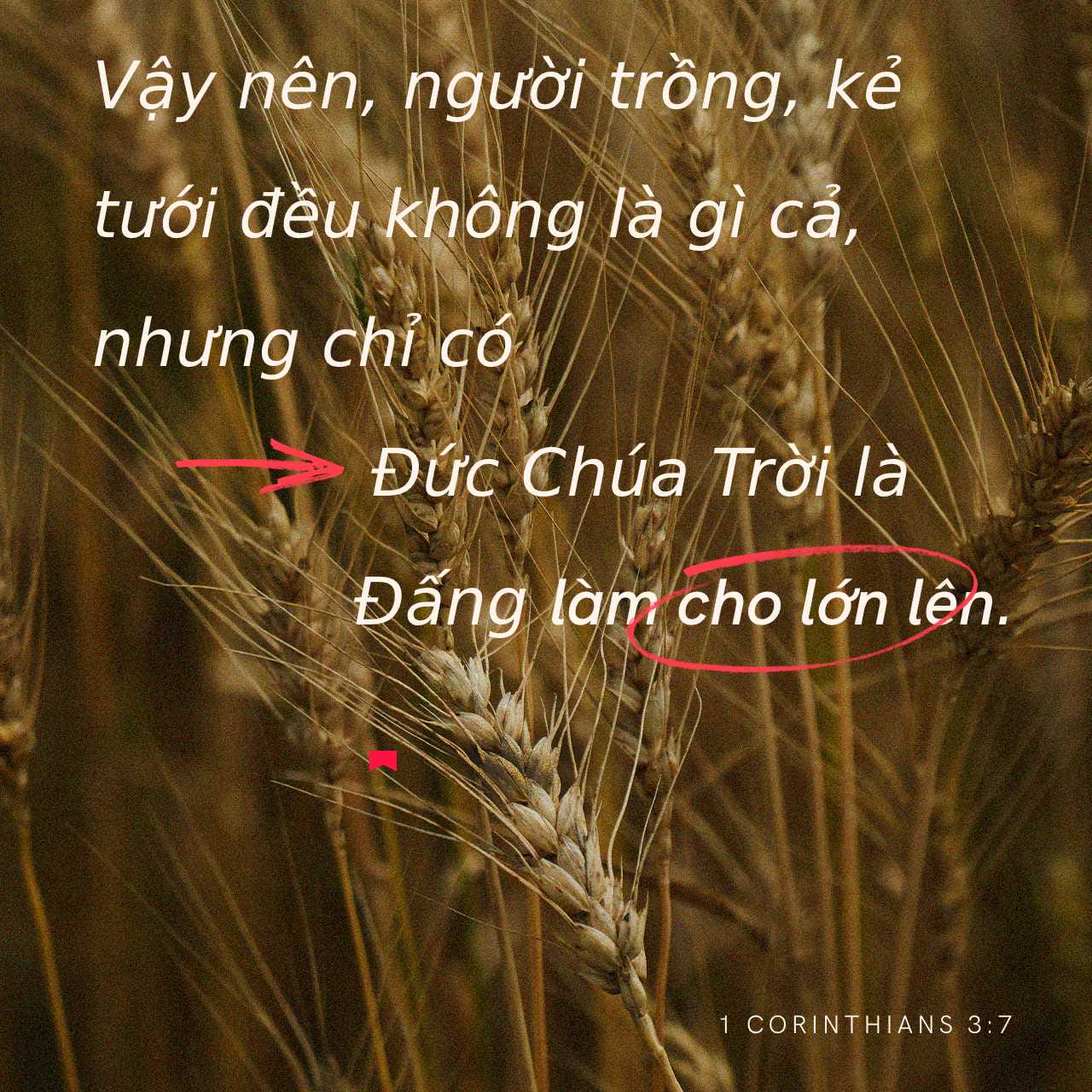 Tổng quan về MT Base