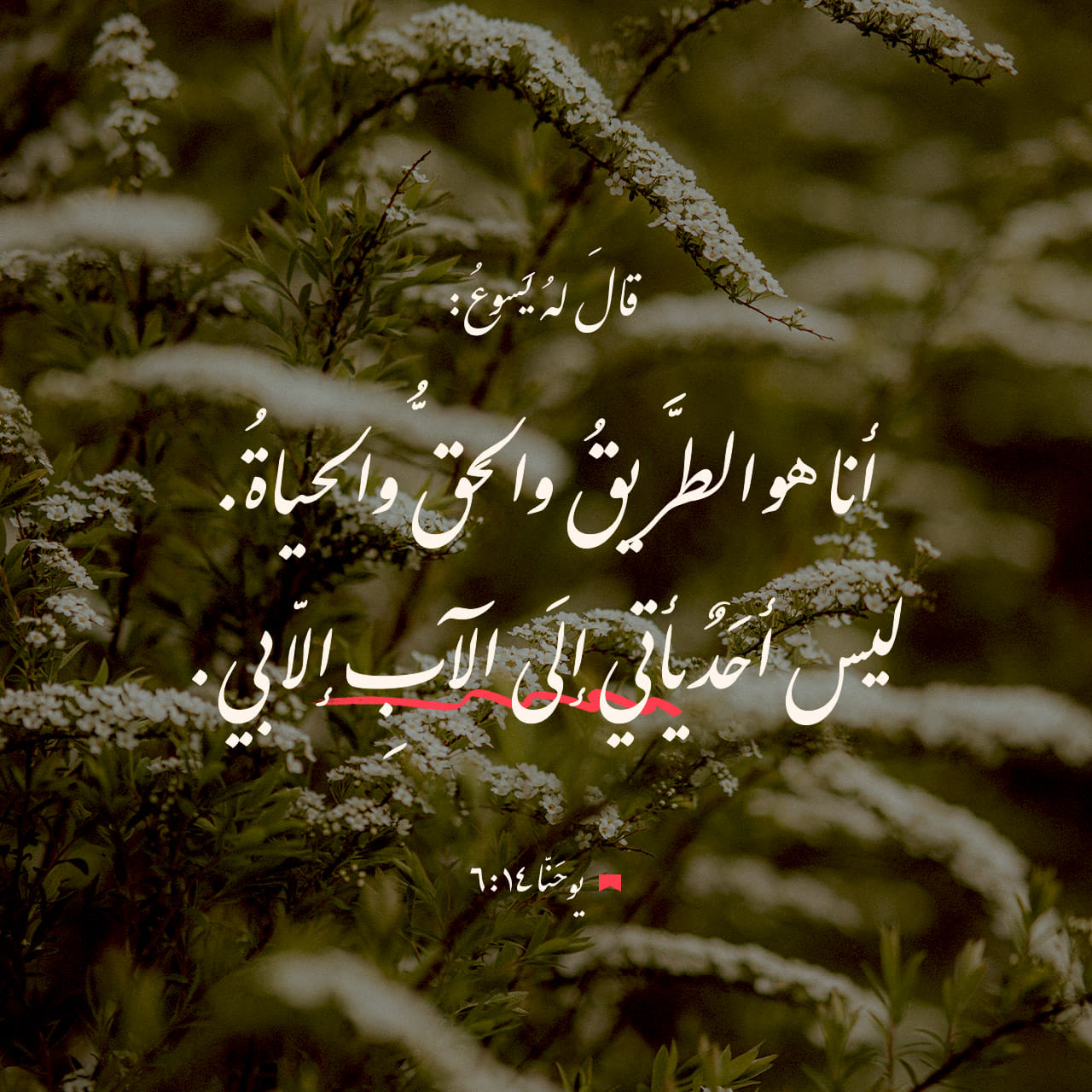إِنجيلُ يوحَنّا 6:14 (AVDDV) - قالَ لهُ يَسوعُ: «أنا هو الطَّريقُ ...
