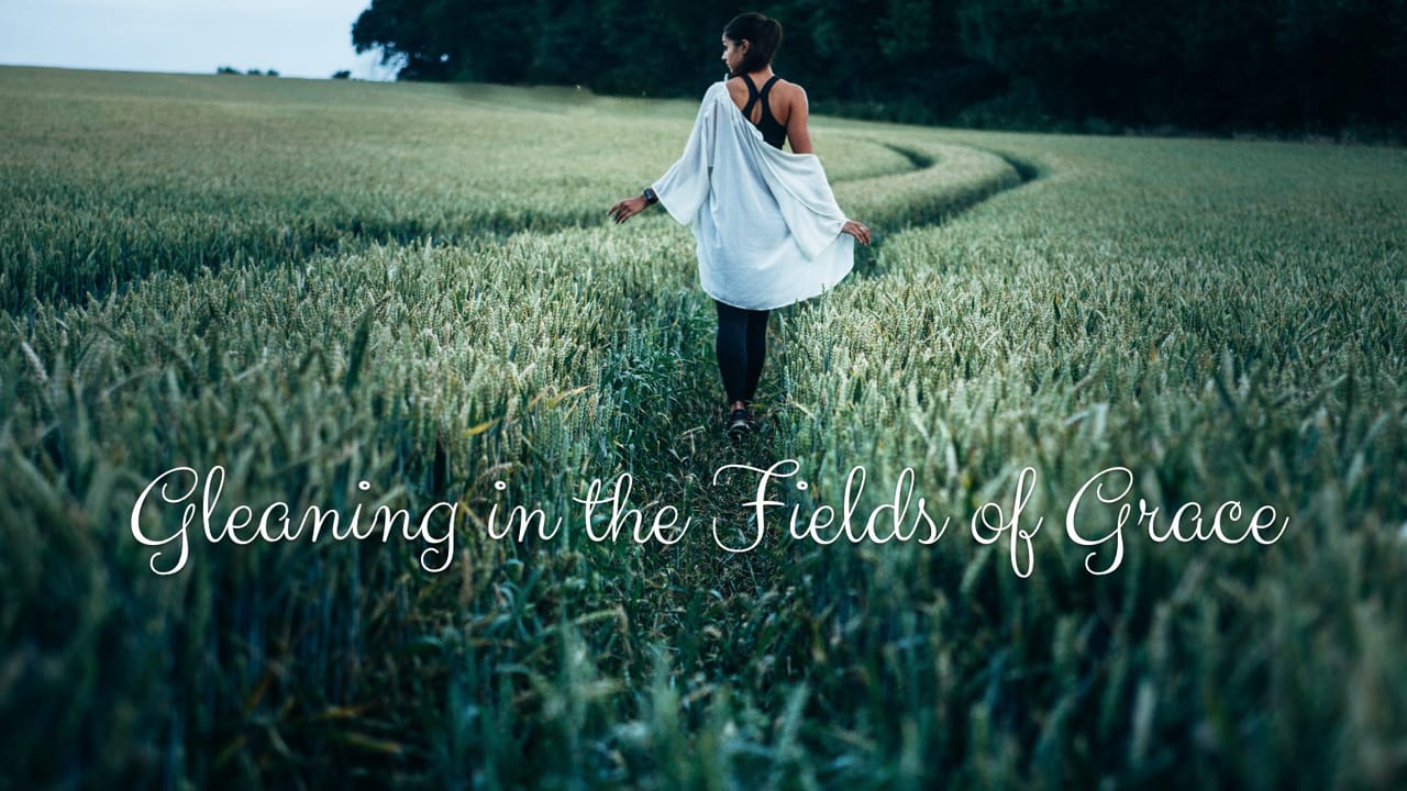 Sunday Sermon Gleaning In The Fields Of Grace Youversion Event