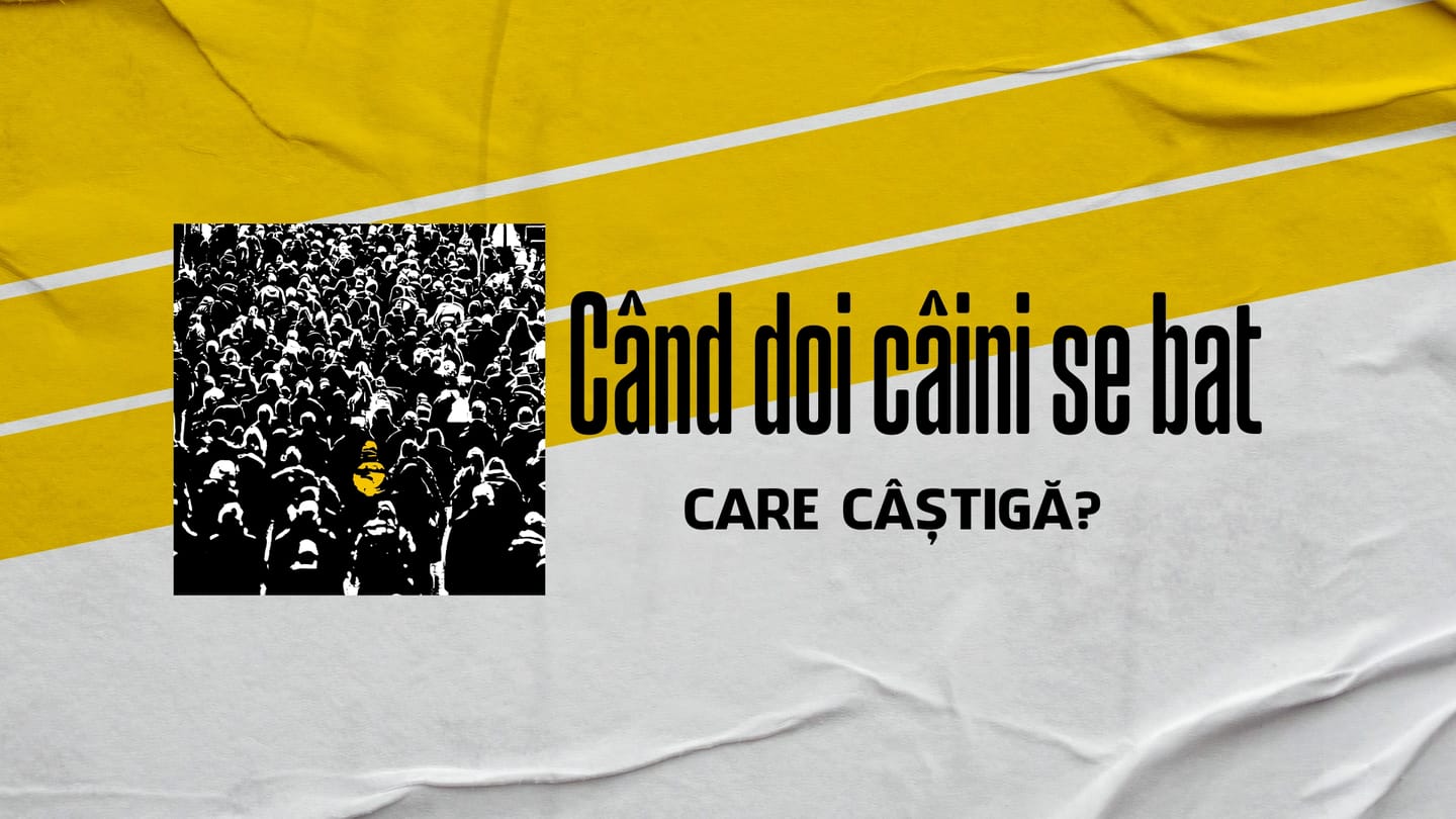 Când doi câini se bat, care câștigă ?