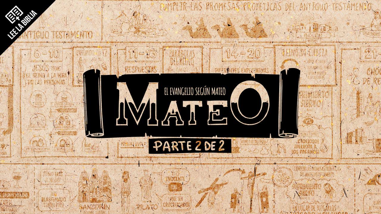 mateo 14 28