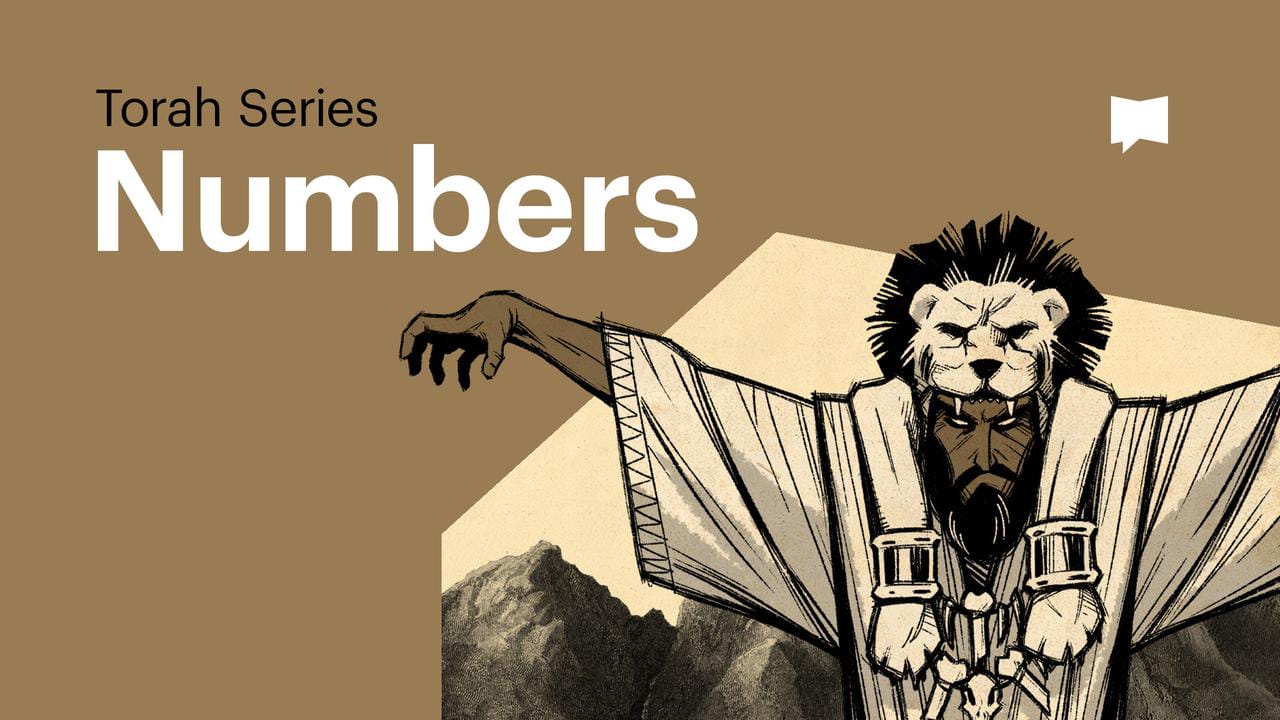 numbers-torah-series-bibleproject-torah-series-videos-youversion