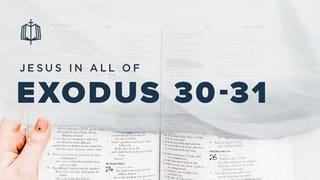 アキバぬこ EXODUS 英語版25パックセット Exodus (3Q 2025 Bible Bookshelf)