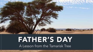 Father's Day: The Tamarisk Tree :: Youversion Event