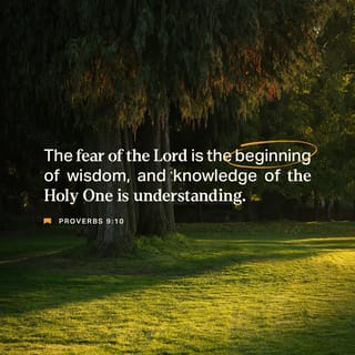 Proverbs 9:10 (NLT) - Fear of the LORD is the foundation  display picture 2