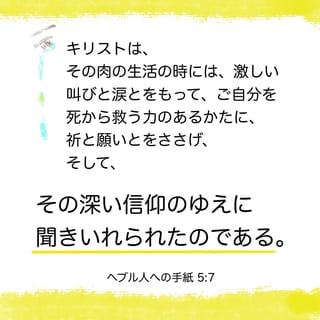 【中古】ヘブライ人への手紙 (コンパクト聖書注解) ヘブライ人への手紙 | 日本キリスト教団出版局 |本 | 通販 | Amazon