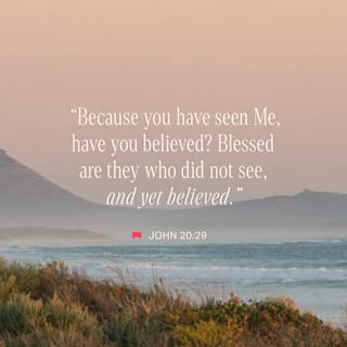 Yalangoch Anna Xilkevich mushuk surati