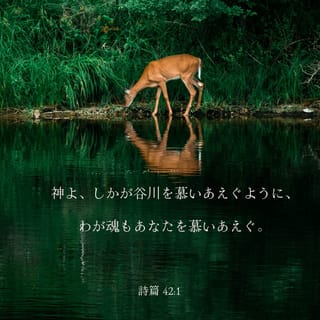 人気ブランドを 1280x1280.jpg その他