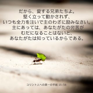 人は試練のとき、どう祈るか 聖書の人物9人の祈り | リサイクル