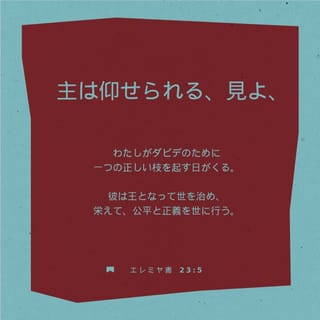 大型聖書 新共同訳 旧約聖書続編つき｜キリスト教書籍販売｜本
