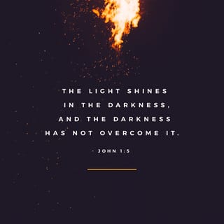 John 1:5 The light shines in the darkness, and the not overcome it. And the light shineth in darkness; and the darkness comprehended it not. Everything was created through him;