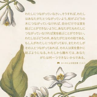 ヨハネ福音書のイエス・キリスト 上: 私たちを新しい生へと動機