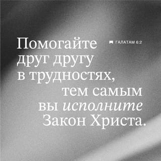 Новошахтинск бисексуалы