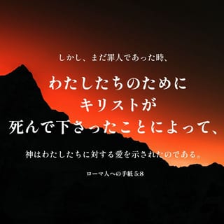 『註解 ローマの信徒への手紙』聖書,キリスト教,古典ギリシャ,ヘブライ,ユダヤ教 註解 ローマの信徒への手紙 | C.E.B.クランフィールド, 山内 眞
