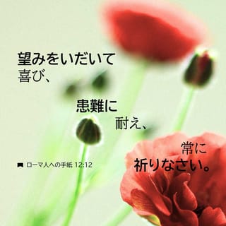 ヒデ様　ローマの信徒への手紙　上下巻　二冊セット エフェソの信徒への手紙 1:7 わたしたちはこの御子において