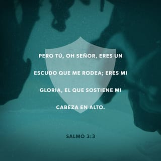 Salmos 3 3 5 Mas Tu Jehova Eres Escudo Alrededor De Mi Mi Gloria Y El Que Levanta Mi Cabeza Con Mi Voz Clame A Jehova Y El Me Respondio Desde Su Monte Santo eres escudo alrededor de mi mi gloria
