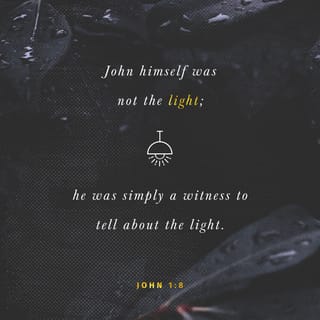 John 1 8 He Himself Was Not The Light He Came Only As A Witness To The Light New International Version Niv Download The Bible App Now