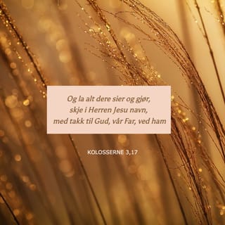 Bir gozalni olomon sikib ketdi