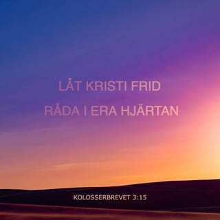 Onam haqida porno multfilm