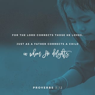 Proverbs 3:12 For The Father's Discipline Comes Only From His Passionate  Love And Pleasure For You. Even When It Seems Like His Correction Is Harsh,  It's Still Better Than Any Father On